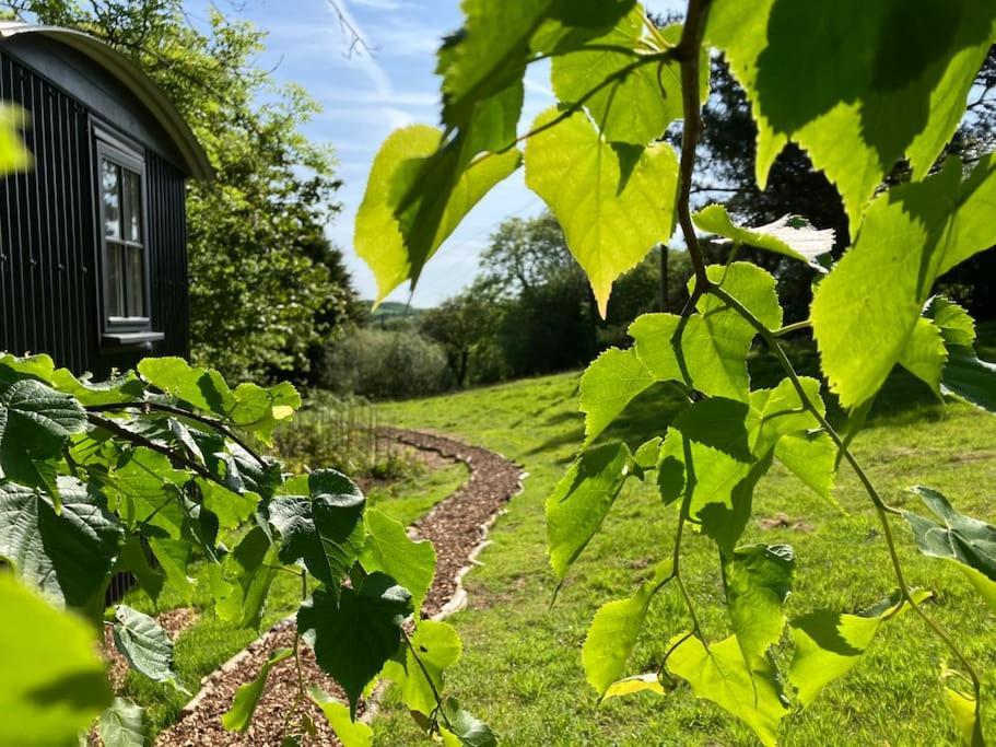 Cornwall Woodland Shepherd'S Hut Deirdres Hut Bodmin Exterior foto