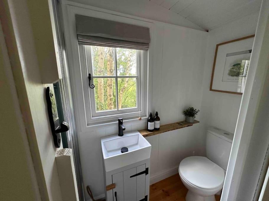 Cornwall Woodland Shepherd'S Hut Deirdres Hut Bodmin Exterior foto